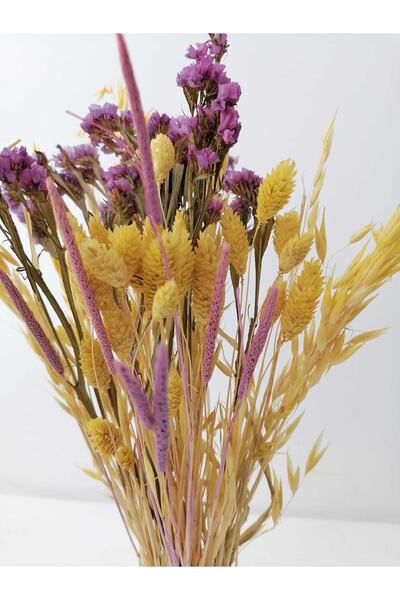 Hidden Botanics Kuru Çiçek Vazo Çiçekleri Şoklanmış Statis Kurutulmuş Yulaf P...