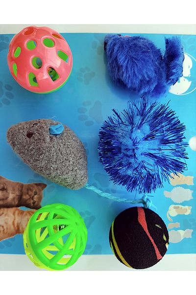 AMORE Fun Cat and Bird Toy with Bells and Plush Ball and Mice Set of 6