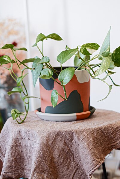 Genel Markalar Terracotta Saksı Yeşil 13.5x15.5cm Tabak