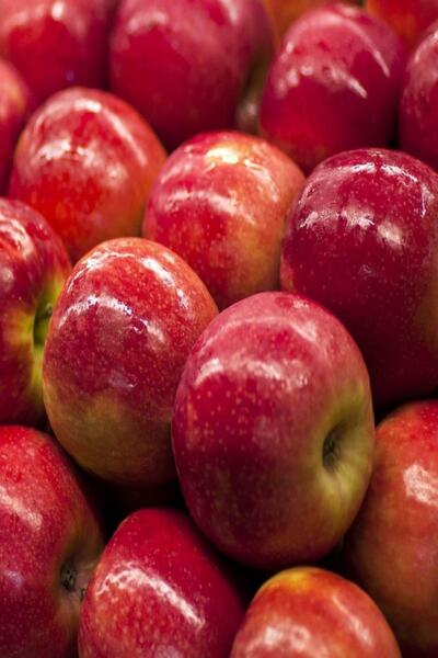 EvveBahce Tüplü Aşılı Aromatik Geçci Pink Lady Elma Fidanı