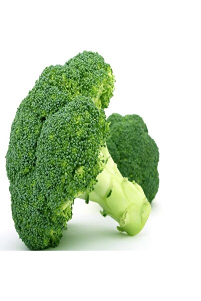 EvveBahce Yüksek Verimli Geleneksel Doğal Monet Brokoli Fidesi (5 Adet)