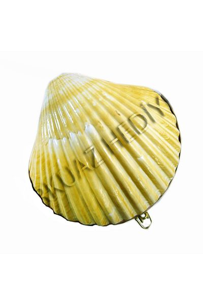 evinizdeki okyanus esintisi turkuaz hediyelik Πορτοφόλι Flat Pecten Shell