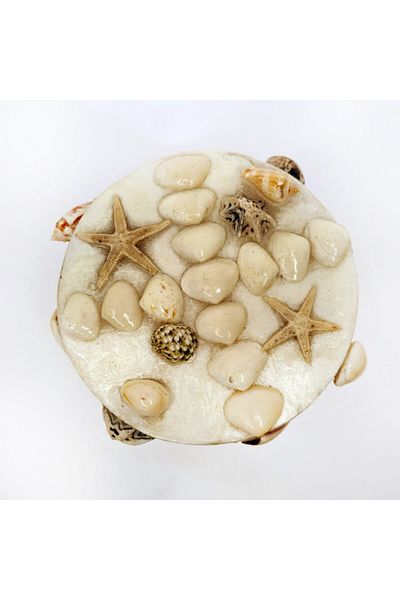 evinizdeki okyanus esintisi turkuaz hediyelik Medium Nacre Box-round-mixed Shell