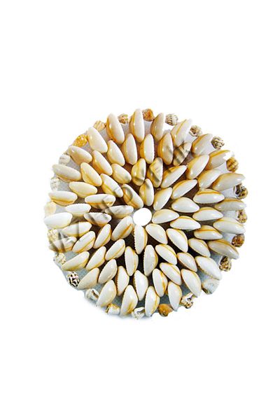 evinizdeki okyanus esintisi turkuaz hediyelik Real Seashell Coaster 9-10 cm Diameter