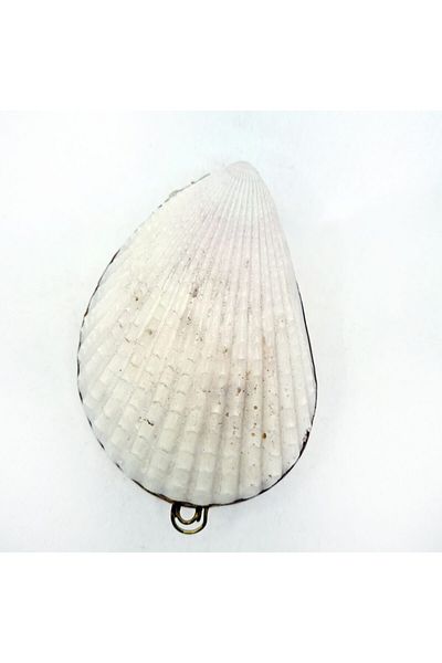 evinizdeki okyanus esintisi turkuaz hediyelik Lima Lima Shell Wallet