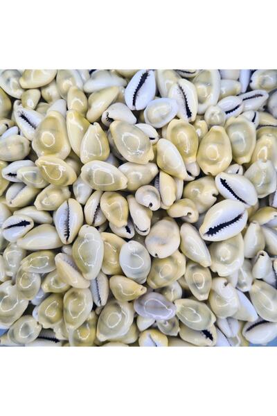 evinizdeki okyanus esintisi turkuaz hediyelik Coajă de mare reală 1000 g Pach...