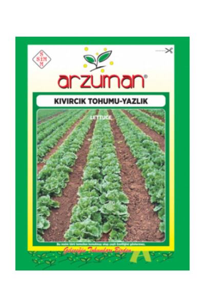 Arzuman Tohum Arzuman Kıvırcık Tohumu Yazlık Kıvırcık 10 gram