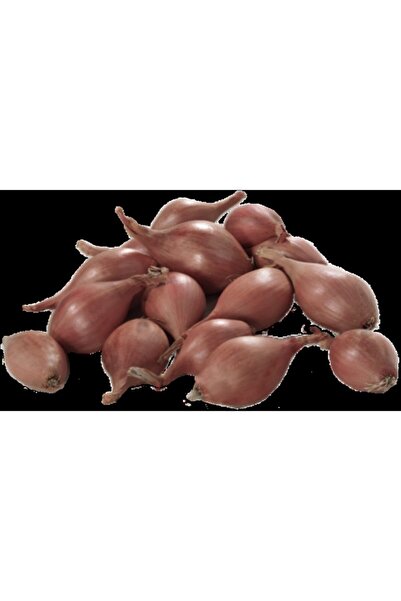 Karahasanoğlu Tarım Yerli Arpacık Soğan 3 Numara (500 GR)