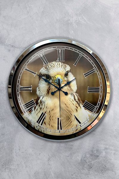 Kasva Concept Δώρο Ρολόι τοίχου 40 εκ. Chrome Metal Eagle