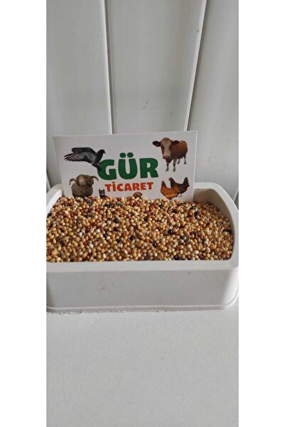 katzoo Karışık Aspurlu Muhabbet Kuşu Yemi 20 Kg.