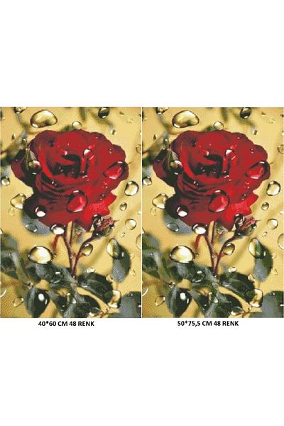 dialands Red Rose Design