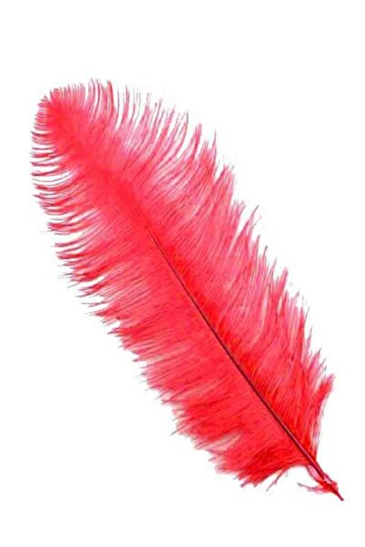 Happyland Kuş Tüyü