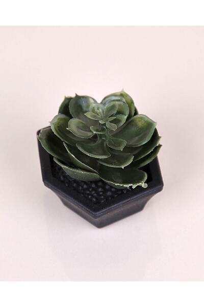 HomeFuture Τεχνητό Σουκουλέντιο Μίνι Στολίδι Λουλουδιών μπλε κοβαλτίου ılı Στ...