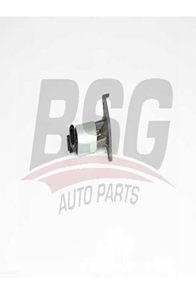 BSG 65-836-018 Egr Valfi 65836018 (WM665833)