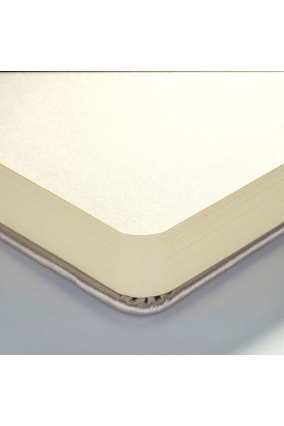 Talens Sketchbook Hard Cover Sketch Drawing Notebook 21x30 Cm140 gr80 YpMetallic Champagne