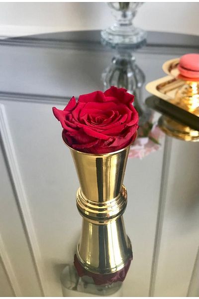 MELT HOME DESİGN Red Non-Fading Equator Rose