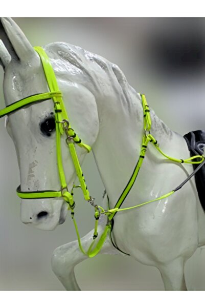 ATSAR Ithal Endurcance Pvc Başlık + Dizgin + Göğüslük Martingal Set