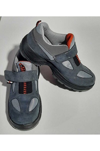 Pars 116 S1