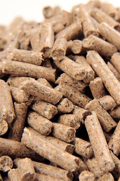 BirdLife Pelet Yavru Tavşan Yemi 500gr. (bol Proteinli)