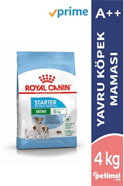 Royal Canin Mini Starter Yavru Kuru Köpek Maması 4 Kg