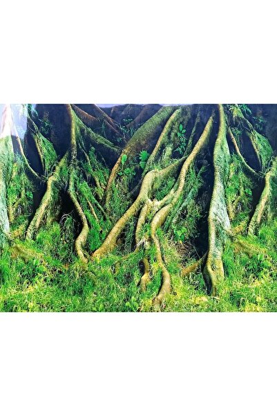 canlipetshop Arka Fon Yeşil Ağaç Kökü 50 Cm Uzunluk (YÜKSEKLİK 40 CM) No 8009