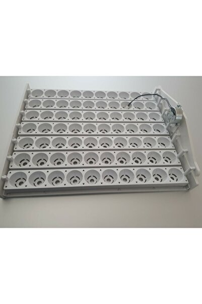 ANKA KULUÇKA Kuluçka Gelişim Viyolü 70 Lik