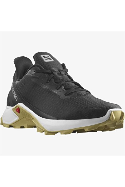 Salomon Alphacross 3 Erkek Spor Ayakkabısı