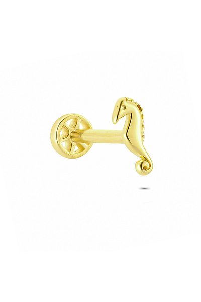 Glorria Gold Sea Horse Tragus Piercing