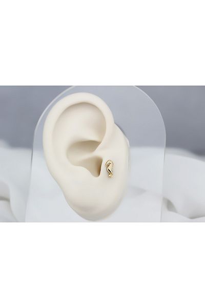 Glorria Gold Sea Horse Tragus Piercing
