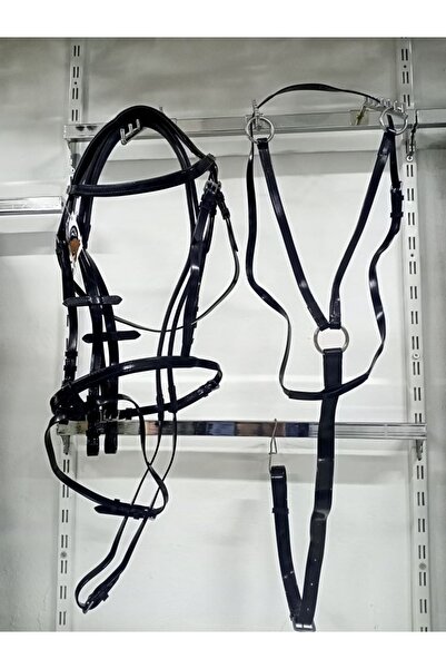 ATSAR Ithal Pvc Başlık + Dizgin + Boy Martingalı Set