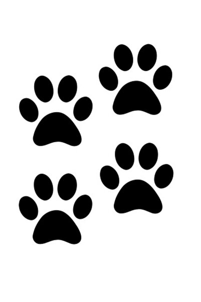 Bak Karıştır 4 Pieces 7x7 Cm Black Paw Sticker