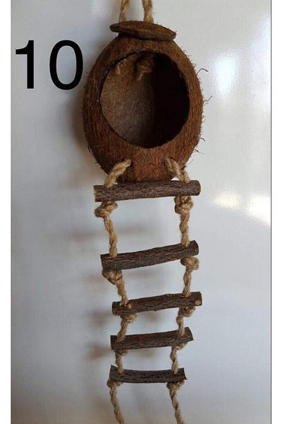 SERTİCARET Coconut Egg Holder and Nest for Parrots and Lovebirds