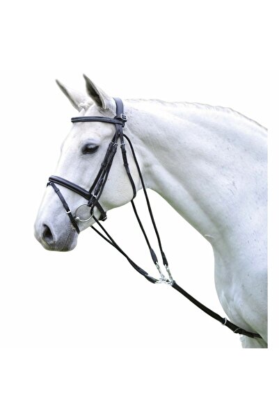 ATSAR Ithal Gog (gogue)