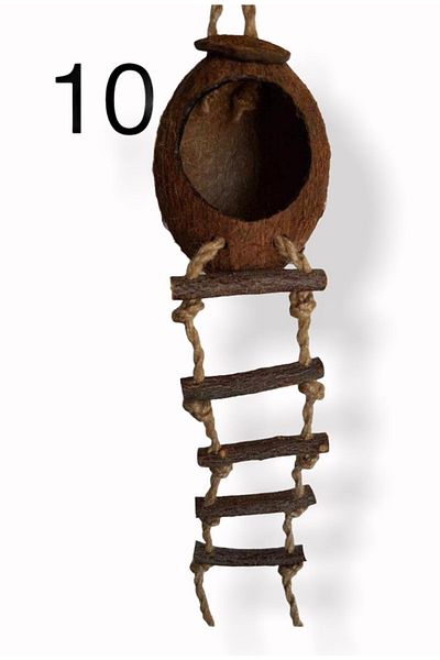 SERTİCARET Coconut Egg Holder and Nest for Parrots and Lovebirds