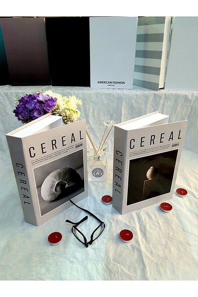 Saccura Decor Decorative Box Cereal Home Series 2-Piece Book Box Set