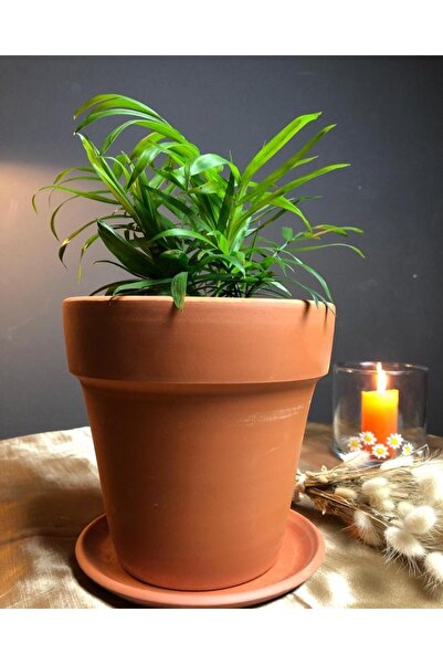 Nova Elite Altlikli Toprak Saksi