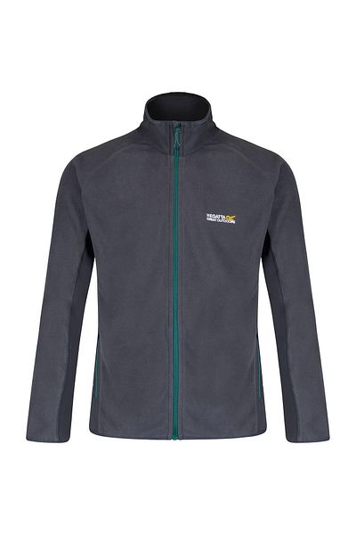 Regatta Ashton Men's Polar-grey