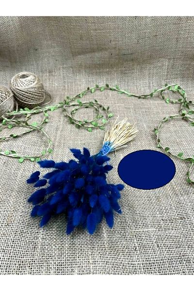 Hobigram Τεχνητό λουλούδι Navy Blue Cotton Grass Lagurus Natural Dried Flower – Τεχνητό & Ξηρό Λουλούδι, Κομψό Σχέδιο – Y