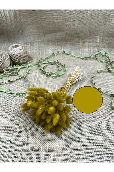 Hobigram Mustard Color Cotton Grass – Ειδικό Σχέδιο, Αξεσουάρ, Ποιοτική Παραγωγή, Στυλ που τραβάει τα βλέμματα – Τεχνητό λουλούδι Deko