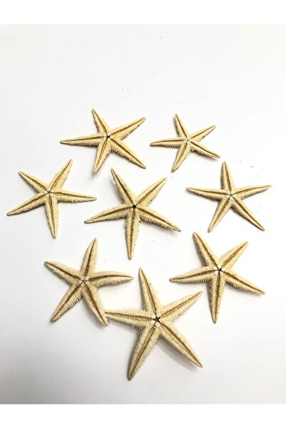 Hobigram Deniz Yıldızı 7 Cm – Özel Tasarım, Aksesuar, Kaliteli Üretim, Göz Al...