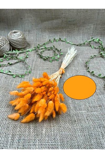 Hobigram Πορτοκαλί Χρώμα Cotton Grass – Ειδικό Σχέδιο, Αξεσουάρ, Ποιοτική Παραγωγή, Στυλ που τραβάει τα βλέμματα – Τεχνητό λουλούδι Deko