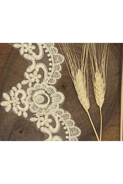 Hobigram Kappiçino French Guipure 924 – Panglică decorativă, Design elegant, Accesoriu pentru femei – Panglică decorativă – Dek