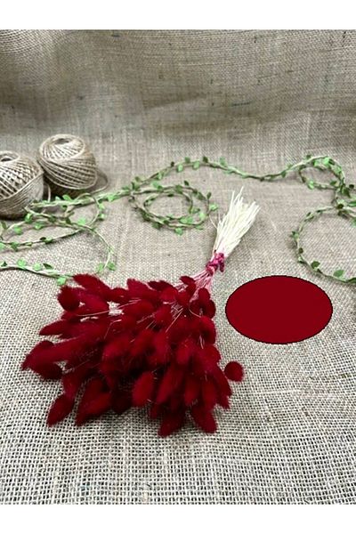 Hobigram Κόκκινο χρώμα Cotton Flower – Ειδικό σχέδιο, Αξεσουάρ, Ποιοτική Παραγωγή, Στυλ που τραβάει τα βλέμματα – Τεχνητό λουλούδι Deko