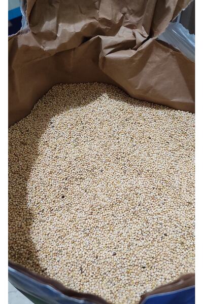 Erenpet Ak Darı Kuş Yemi 1 Kg. ( 1000 Gr.)