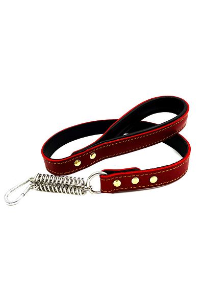 Tasma Market Red-Black Leather Dog Walking Collar