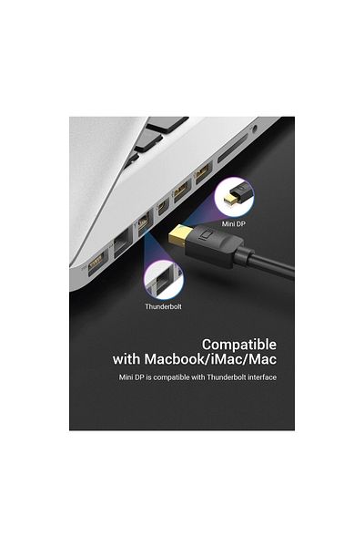Daytona Mini Display Port To Display Port Converter Cable