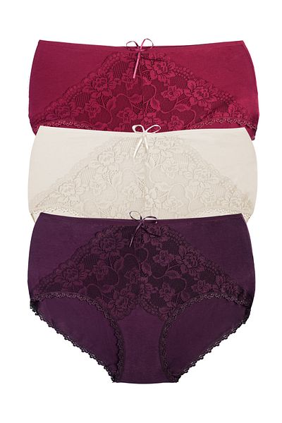 Zena 3-Piece High Waist Lace Detailed Cotton Plus Size Women's Panties