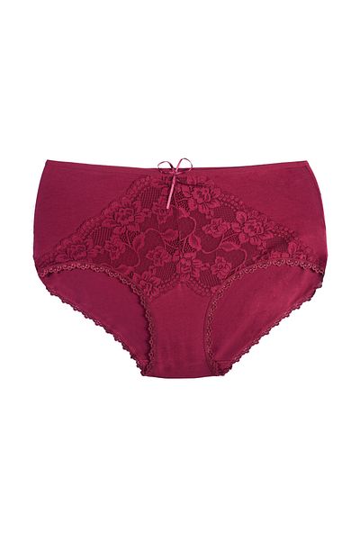 Zena 3-Piece High Waist Lace Detailed Cotton Plus Size Women's Panties