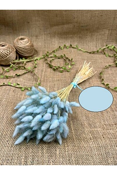 Hobigram Iarbă de bumbac de culoare albastră – Design special, accesoriu, producție de calitate, stil atrăgător – Decor cu flori artificiale,