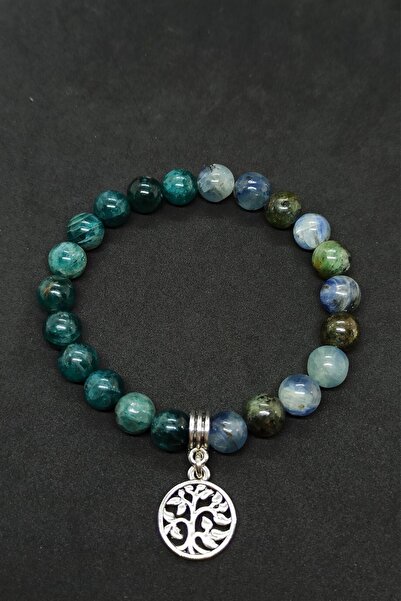 Proff Apatite Kyanite Natural Stone Women's Bracelet Prof